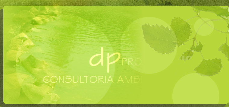 dp - Auditoria - Ambiental - Belém/PA