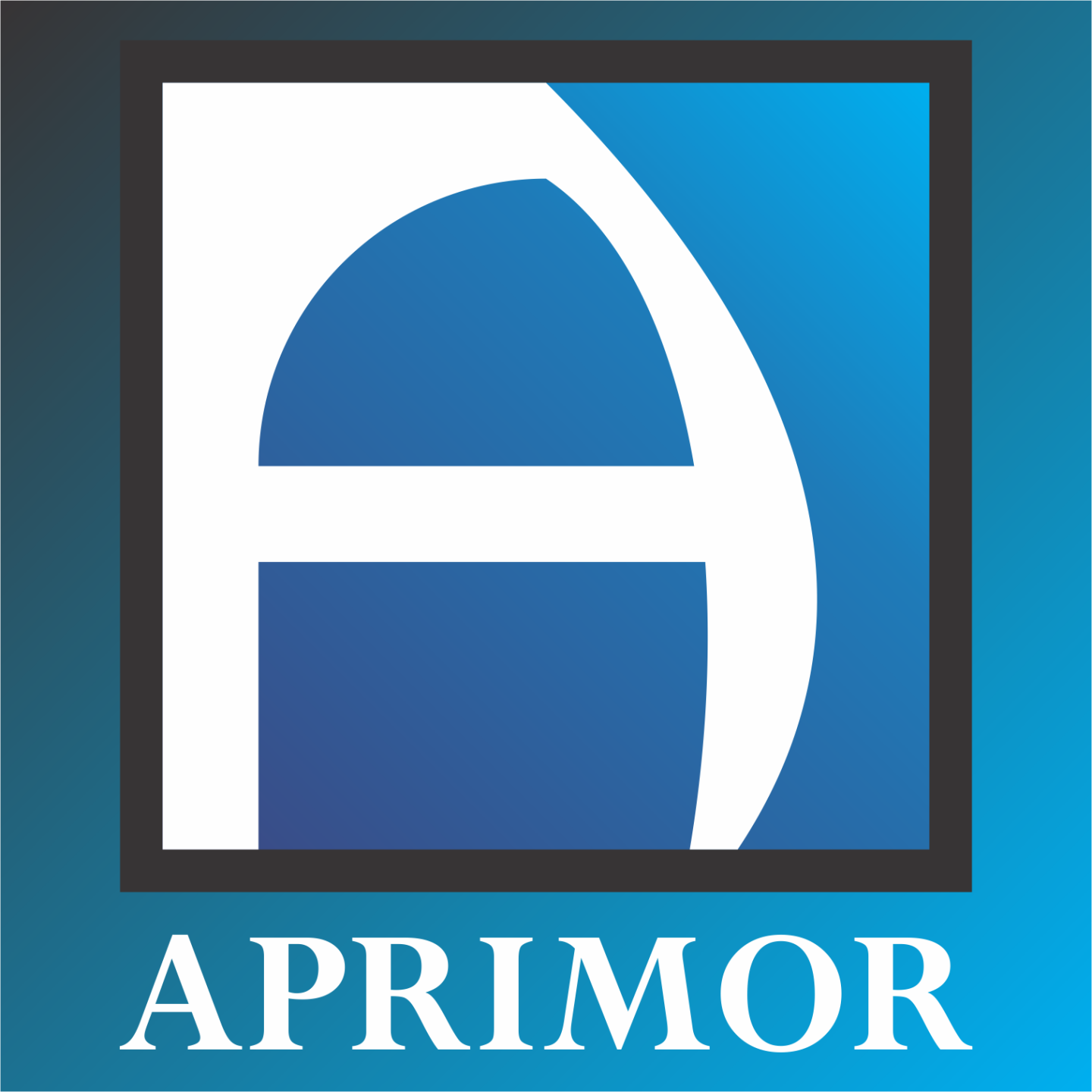 APRIMOR - Auditoria - ISO 45001 - Uberaba/MG