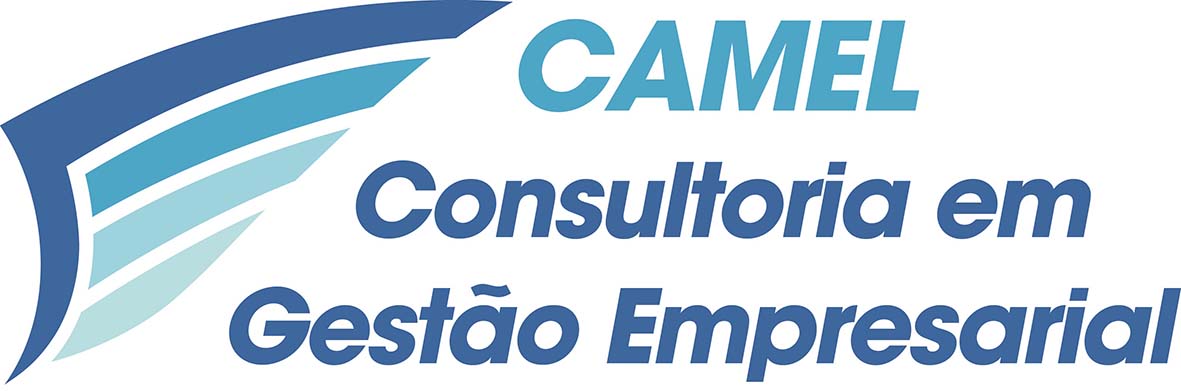 Camel - Auditoria - Recursos Humanos (RH) - Rio de Janeiro/RJ